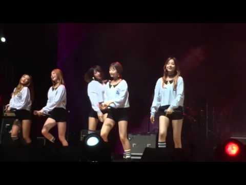 160501 EXID  UP & DOWN Strawberry Music Festival  Fancam
