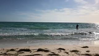 Best beaches in Sarasota-Bradenton: Coquina Beach on Anna Maria Island