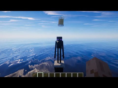 Enderman VS Arrows