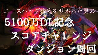 ニーズヘッグ降臨をサボった男の5100万DL記念スコアチャレンジ周回　火ラジョア