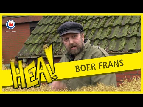 HEA! Boer Frans