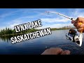 Video Thumbnail for The best stocked lake for pike & walleye! Insane pike action