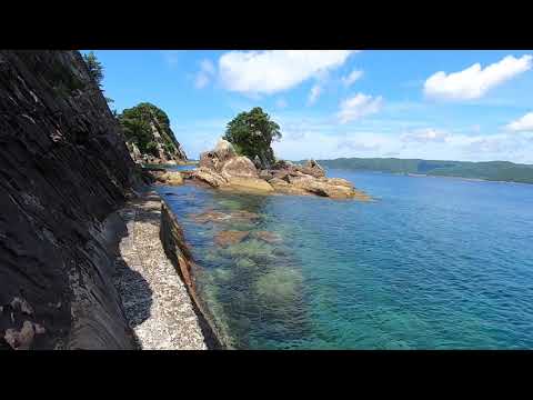 【新足摺海洋館SATOUMI】竜串散歩