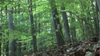 UNESCO Biosphere Reserve Rhoen