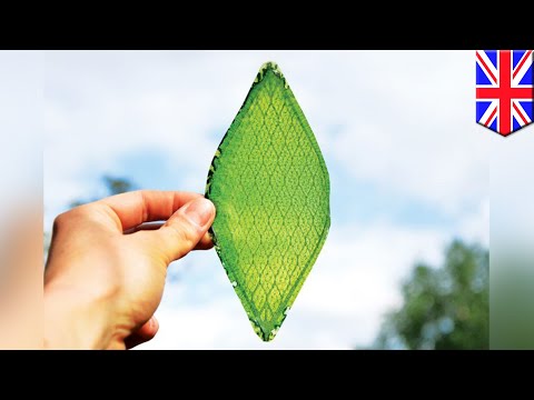 Прев'ю відео