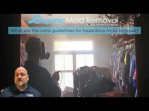 Organic Mold Removal | What are the osha guidelines for hazardous mold removal?