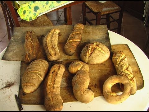 Il nome di parassiti in un corpo umano Disposizione efficace di parassiti