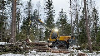 Eco Log 590E traktorgr&auml;vare | Bild 4 - Machineryline