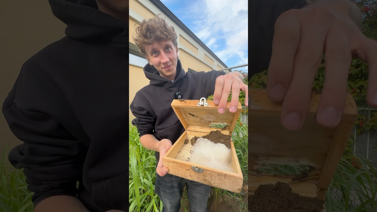 Ho Seppellito 1 Hamburger per 1 Settimana