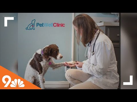 Petwell Clinic Pittsburgh