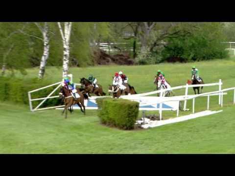 Dielsdorf/01.05.2016/Preis der Cross Freunde