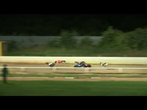 2017 WILLIAM HILL PETERBOROUGH DERBY - HEAT 6 - T3 CORK FALCON