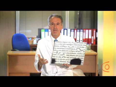 Enfermedades de la Mácula