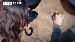 Photographing Nature's Smallest Wonders in South Carolina | In Search Of Nature | The Travel Edit