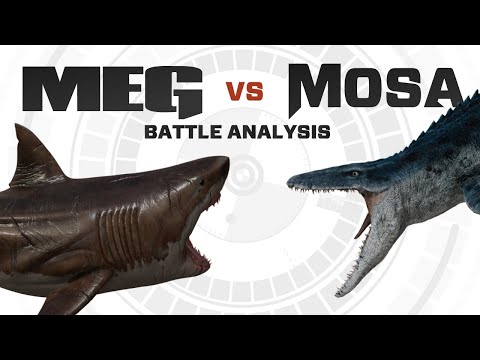 The MEG vs InGen's Mosasaurus | Battle FACEOFF Analysis