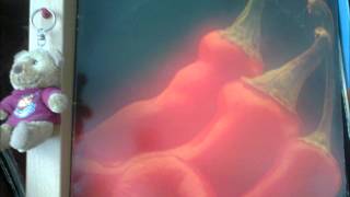 Mongo Santamaria  Sambita