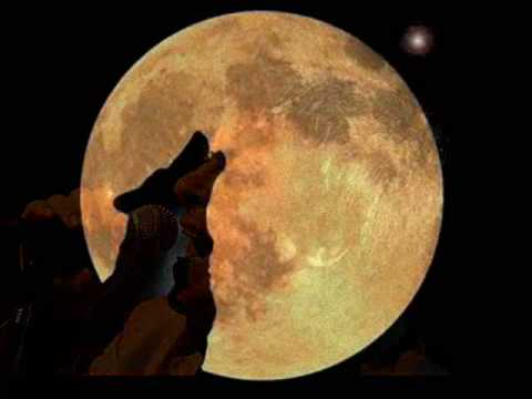 Memphis la Blusera - Estepario