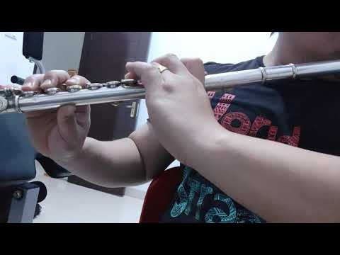Test flute yamaha 481 II silver