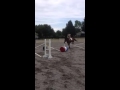 Raz Gymnastics