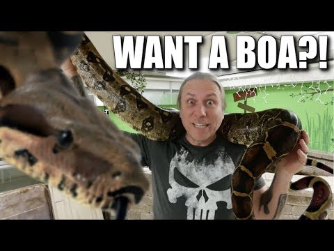 I WANT A BOA CONSTRICTOR!! NOW WHAT??| BRIAN BARCZYK