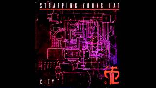 Velvet Kevorkian & All Hail The New Flesh - Strapping Young Lad