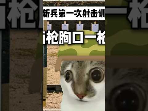 当新兵第一次射击训练 #猫meme #搞笑 #抽象 #内容过于真实 #精神状态belike