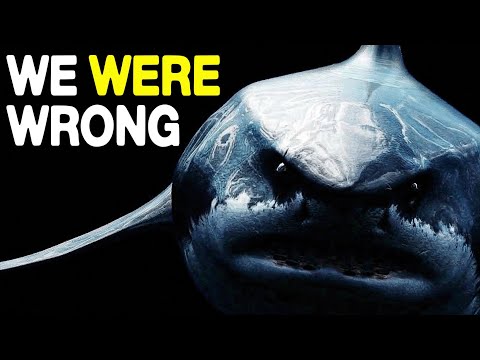 Scientists Rebuilt the Megalodon From Scratch in 2026. It Was Scarier Than Anyone Expected.