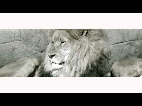 Fe Tha Don - I Got Enemies (Music Video) Dir. Aviaton Films [Thizzler.com]