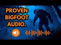 Bigfoot Audio Proof 7 Sounds That Can T Be Fake