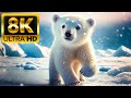 CUTE BABY ANIMALS - 8K (60FPS) ULTRA HD - WITH NATURE SOUNDS (COLORFUL ..
