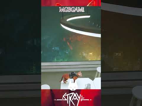 stuck inside world 😫#shorts #straygame #1ksubgoal