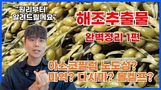 미역 다시마도 해조추출물? 해조추출물 비료의 가장 큰 차이는 원료 입니다  | 비료사관학교 시즌2 5-1강 …