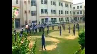 Shri Ramswaroop Memorial Public School Video