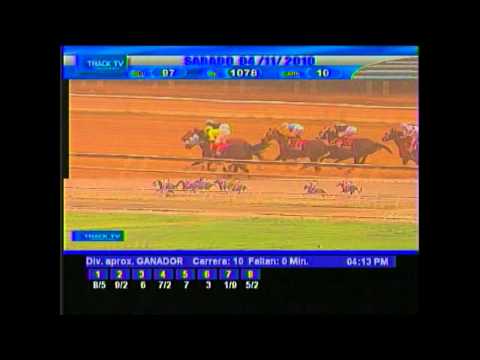 AMERICAN WOMAN - COPA DAMA DEL CARIBE 2010