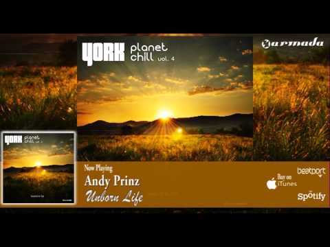 Andy Prinz - Unborn Life