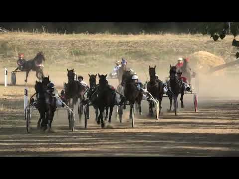 Trka "Nesam Inženjering d.o.o.-Smederevska Palanka" 31.7.2022. Lamentin A.T. Mukić Branislav