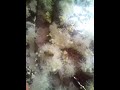 Natureza O Criador Que Fez