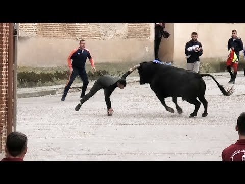 Pozaldez Toro San Boal 2023