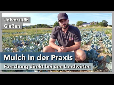 Mulchgemüsebau Praxisversuche | Universität Gießen | Rundgang 3 | 2021