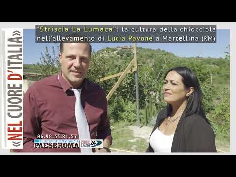 “Striscia La Lumaca”: la cultura della chiocciola nell’allevamento di Lucia Pavone a Marcellina (RM)