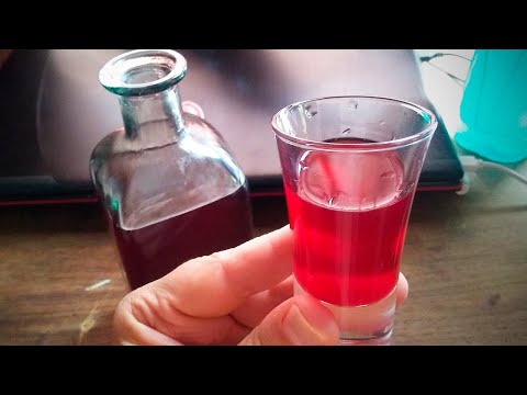 Licor de Hibiscus, una planta con propiedades medicinales increíbles!