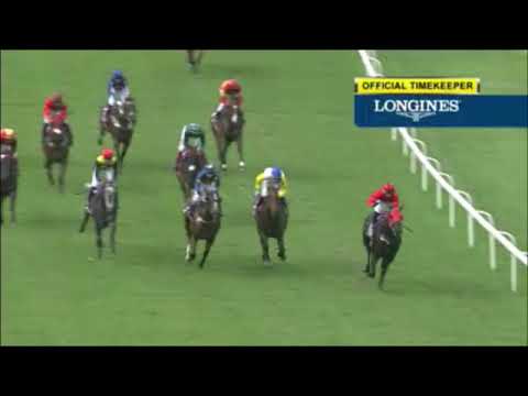 Yearling Colt Same sire Bold Thruster Half Brother of Surpass Natural