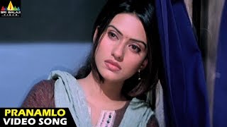 Andhrudu Songs  Pranamlo Pranamga Video Song  Gopi