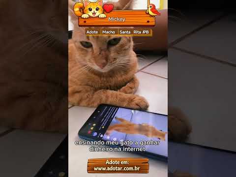 Vídeo de Mickey 
