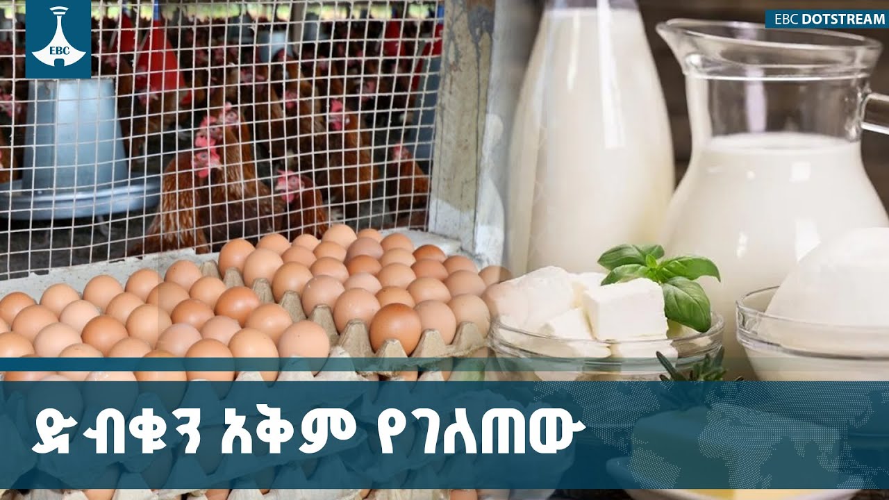 የሌማት ቱሩፋት ኢንሼቲቭ ኢትዮጵያ ያላትን አቅም እንድትጠቀም በር ከፍቷል ETV | EBC | EBCDO