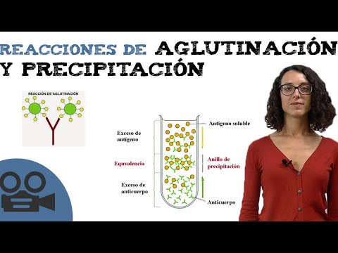 Reacciones de aglutinación y precipitación