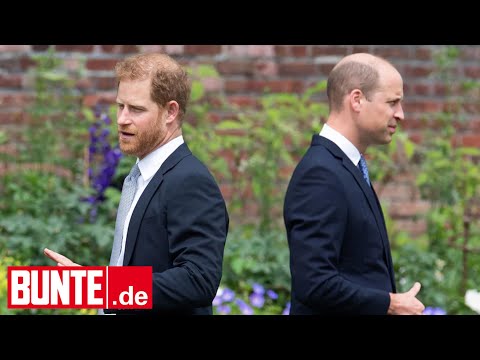 Streit zwischen Prinz William & Prinz Harry schlimmer als gedacht