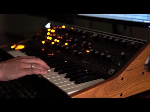 Moog Sub37 Spring Day II