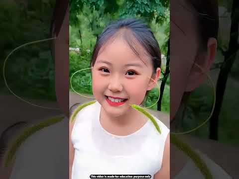 Everyone’s Talking About Japan’s Smile Grass But It Might Be Fake