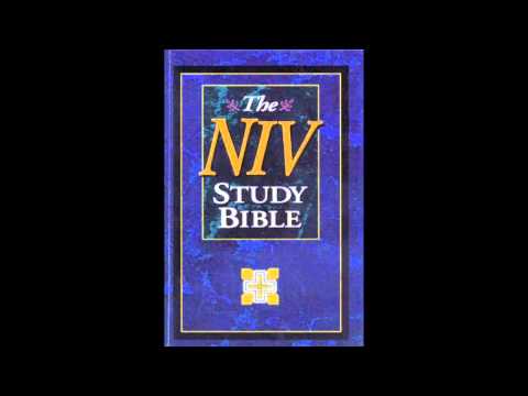 The Book of 2nd Samuel (NIV Audio Bible Non Dramatized)